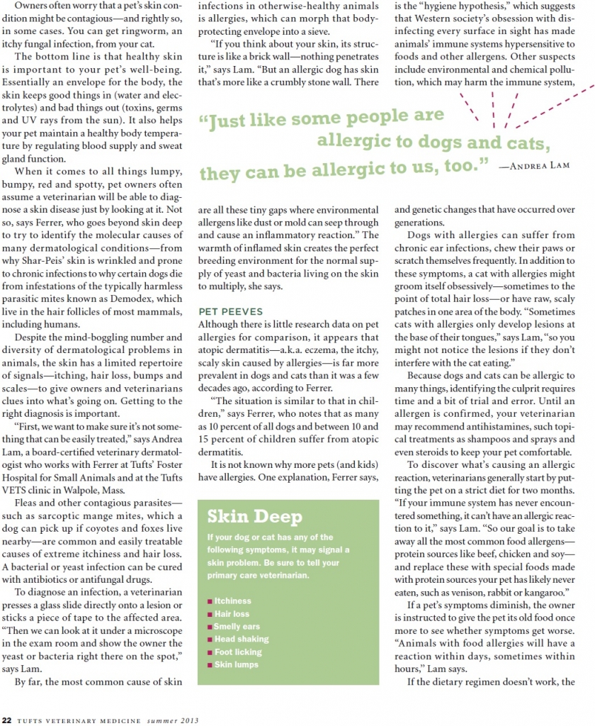 The Animal House Buzzards Bay, MA Interesting Information